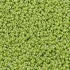 MIYUKI Round Rocailles Beads X-SEED-G009-RR0439-3