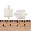 Natural Shell Square Connector Charms STAS-D378-27P-3