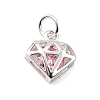 S925 Sterling Silver with Cubic Zirconia Charms LS-STER-Q006-05B-S-1