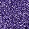 MIYUKI Delica Beads SEED-X0054-DB1347-4