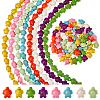 8 Strands 8 Styles Dyed Synthetic Turquoise Beads G-FH0002-61-1