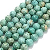 Natural Peruvian Turquoise(Jasper) Beads Strands G-L642-B08-10mm-2