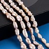 Natural Keshi Pearl Beads Strands PEAR-S020-T05-5