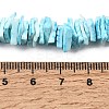 Natural Sea Shell Beads Strands BSHE-K012-08C-7