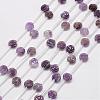 Natural Amethyst Beads G-O156-D-14-1