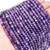 Natural Amethyst Beads Strands G-C127-B02-01-1