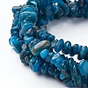 Natural Apatite Beads Strands X-G-P427-02-2