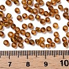 8/0 Glass Seed Beads X1-SEED-A005-3mm-22C-3