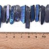 Spray Painted Electroplate Natural Quartz Crystal Points Beads Strands G-Q610-02A-4