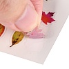 Waterproof Plastic Self Adhesive Stickers DIY-F064-13H-3