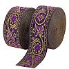 Ethnic Style Embroidery Polyester Ribbons OCOR-WH0070-10F-07-1