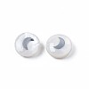 Natural Freshwater Shell Beads SHEL-N003-22-06P-2