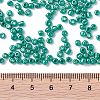 8/0 Glass Seed Beads X1-SEED-A017-3mm-1118-3