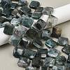 Natural Moss Agate Beads Strands G-L239-16-1