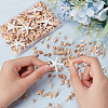 Natural Shell & Starfish Resin Cabochons Decorations SHEL-AR0001-13-4