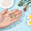 1 Strand Electroplated Shell Pearl Beads Strands BSHE-PA0001-02-3