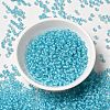 8/0 Transparent Glass Seed Beads SEED-F003-03B-10-2