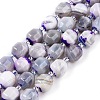 Natural Agate(Dyed) Beads Strands G-T141-05A-1