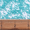 MIYUKI Delica Beads SEED-X0054-DB0658-4