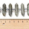 Natural Labradorite Double Terminated Point Beads Strands G-H069-B04-01-5