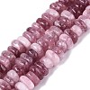 Dyed Natural Quartz Beads Strands G-N359-16A-12-2