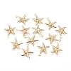 Electroplated Iron Pendants LS-X-IFIN-I030-10G-1