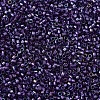MIYUKI Delica Beads SEED-MY11-DB1756-3