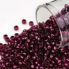 TOHO 8/0 Round Beads SEED-TR08-2226-1