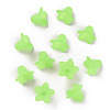 Transparent Acrylic Beads PLF018-05-2