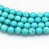 Natural Magnesite Beads Strands TURQ-G103-6mm-01-1