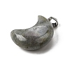 Natural Labradorite Pendants G-F820-02C-2