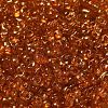 Spray Painted Glass Seed Beads SEED-F005-05A-03-3