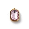 316 Stainless Steel Faceted Glass Pendants STAS-K258-48G-08-1