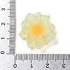 Luminous Transparent Resin Decoden Cabochons LS-CRES-F032-B04-4