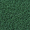 MIYUKI Round Rocailles Beads X-SEED-G007-RR2048-3