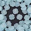 Frosted Transparent Acrylic Beads X1-OACR-P029-19B-06-1