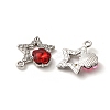 Alloy Pendants FIND-H015-21P-2