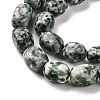 Natural Green Spot Jasper Beads Strands LS-G-G146-A26-01-4