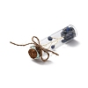 Mini Natural Crystal & Stone Beads Wishing Bottles G-C232-05B-2
