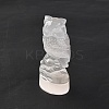 Natural Selenite Figurines DJEW-Q006-01G-2