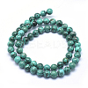 Natural Turquoise Beads Strands X-TURQ-G148-06-6mm-4
