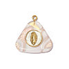 304 Stainless Steel Resin Pendants OY013-39G-1