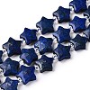 Dyed Natural Lapis Lazuli Dyed Beads Strands G-T138-190-4