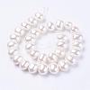Shell Pearl Beads Strands BSHE-L035-E03-2