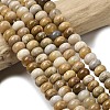 Natural Fossil Coral Beads Strands G-A280-A08-01-1