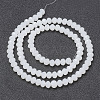 Glass Beads Strands EGLA-A034-J10mm-D05-2