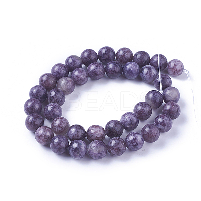 Natural Lepidolite/Purple Mica Stone Beads Strands G-I244-01A-1