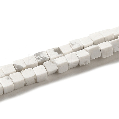 Natural Howlite Beads Strands G-B064-A12-1