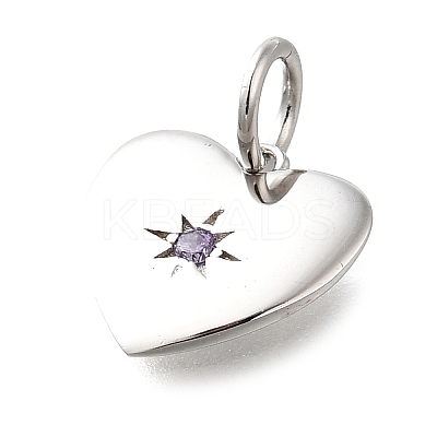 925 Sterling Silver Micro Pave Clear Cubic Zirconia Charms STER-V001-01P-02-1