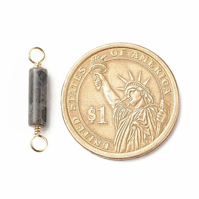 Natural Larvikite Connector Charms PALLOY-JF01454-05-1
